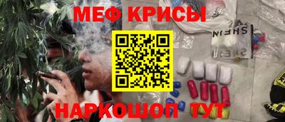 прущие грибы Камышлов
