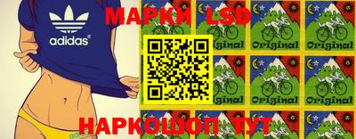 прущие грибы Камышлов
