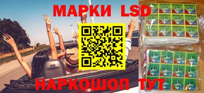 прущие грибы Камышлов