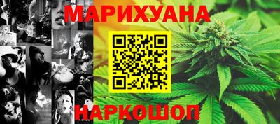 прущие грибы Камышлов
