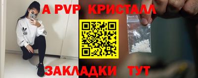 прущие грибы Камышлов